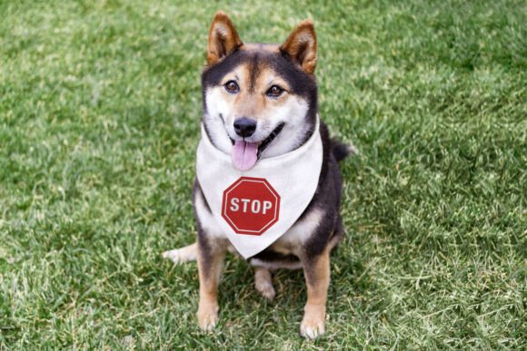 Stop Sign Octagon Mini Embroidery Review